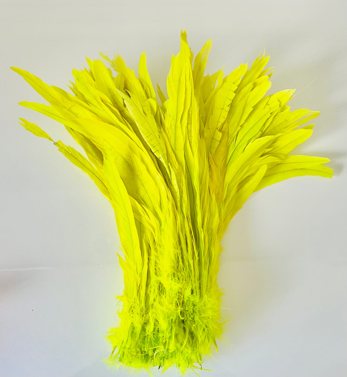 Iris Rooster Feathers V21