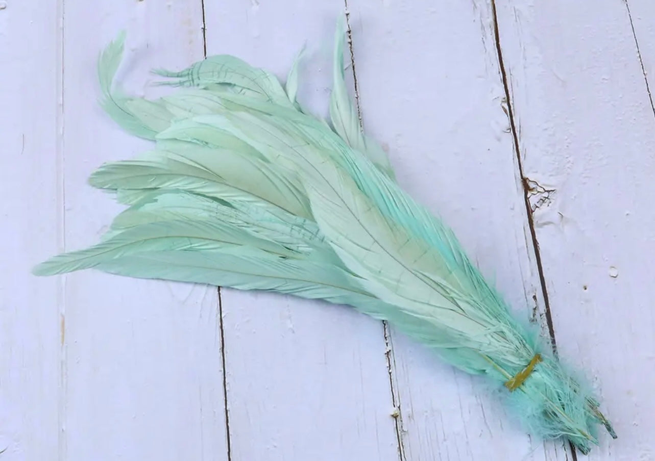 Iris Rooster Feathers V21