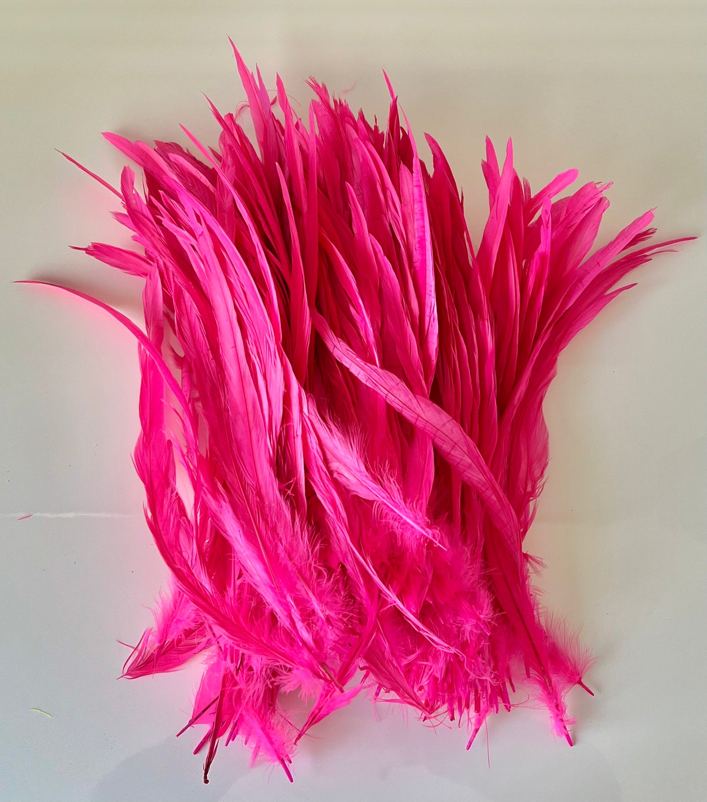 Iris Rooster Feathers V21