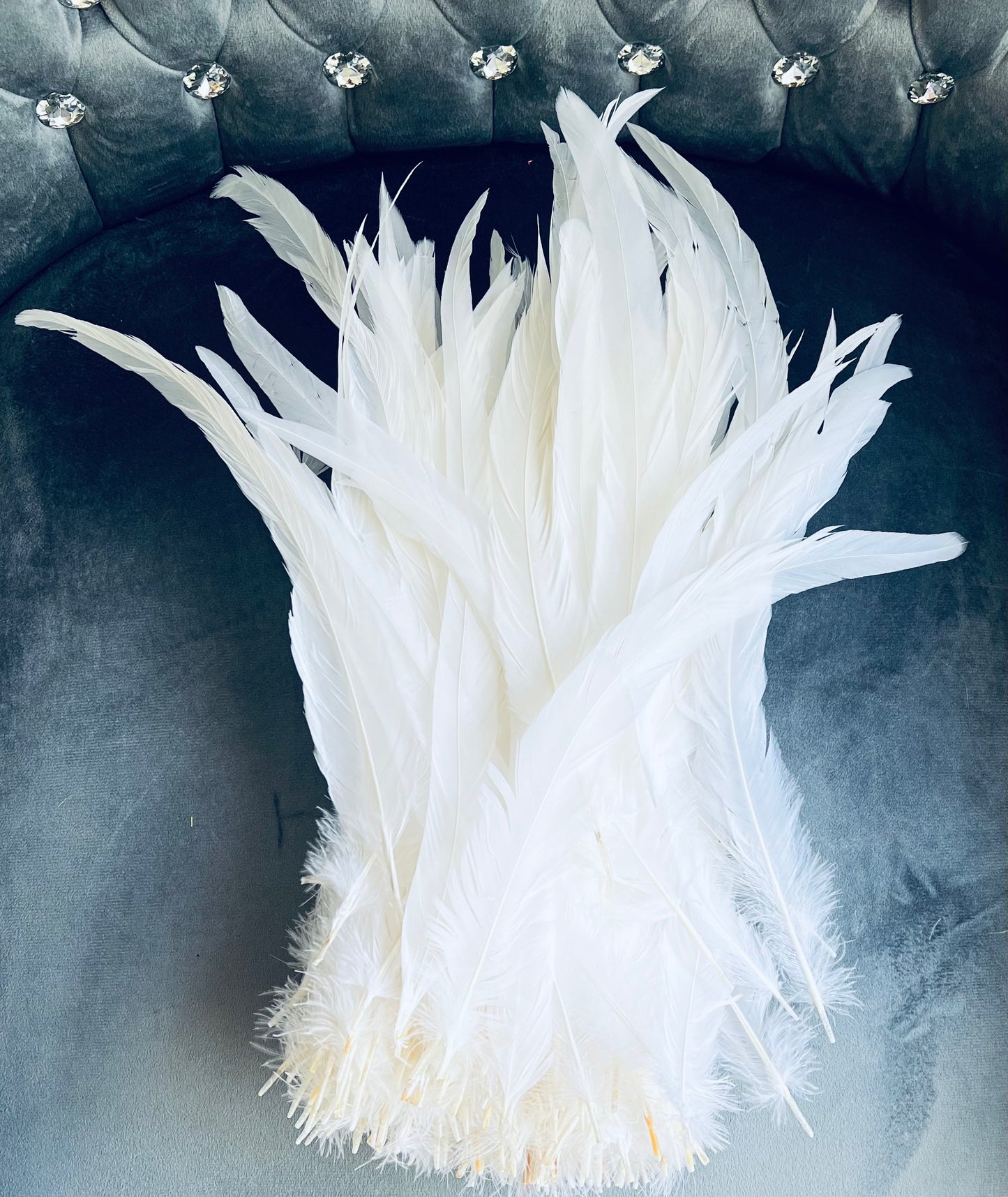 Iris Rooster Feathers V21