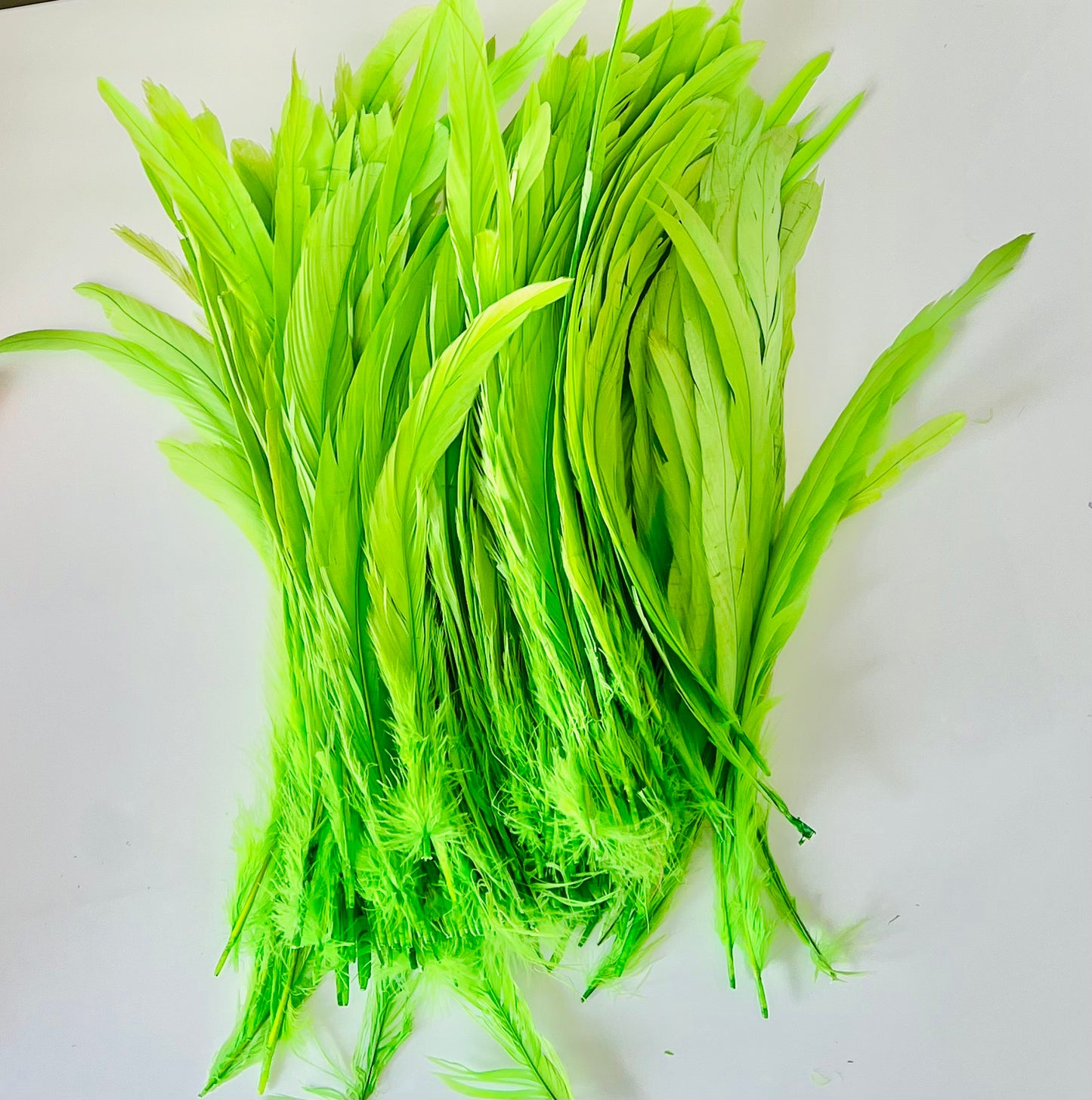 Iris Rooster Feathers V21