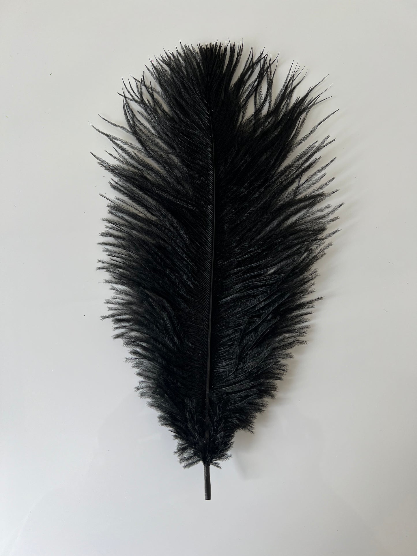 V57 Ostrich feather Plumes 10-12”