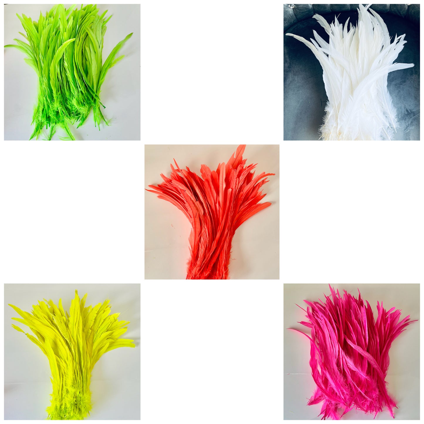Iris Rooster Feathers V21