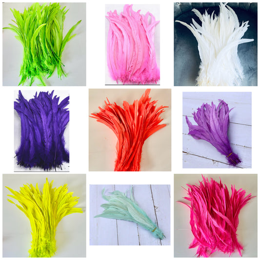 Iris Rooster Feathers V21