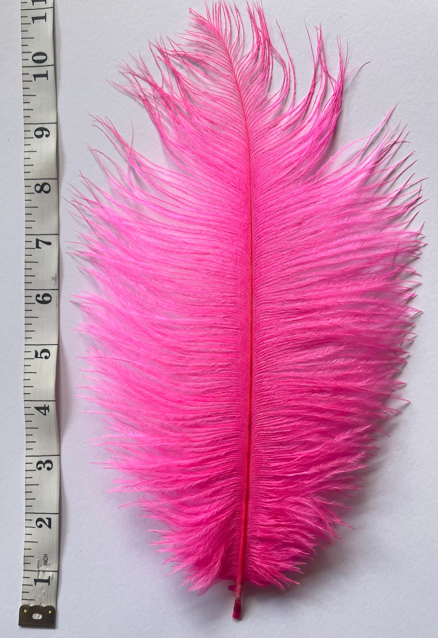 V57 Ostrich feather Plumes 10-12”