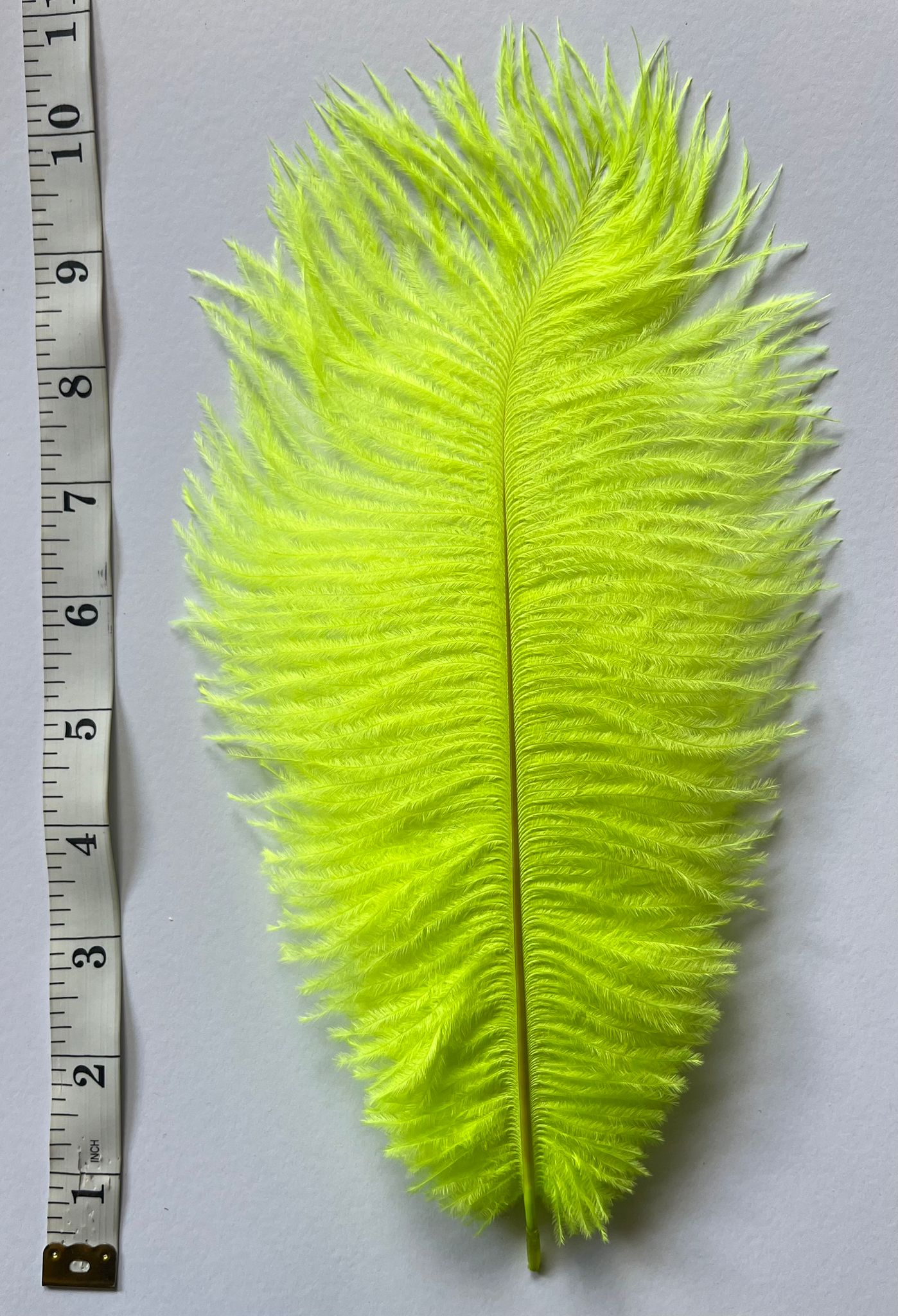 V57 Ostrich feather Plumes 10-12”