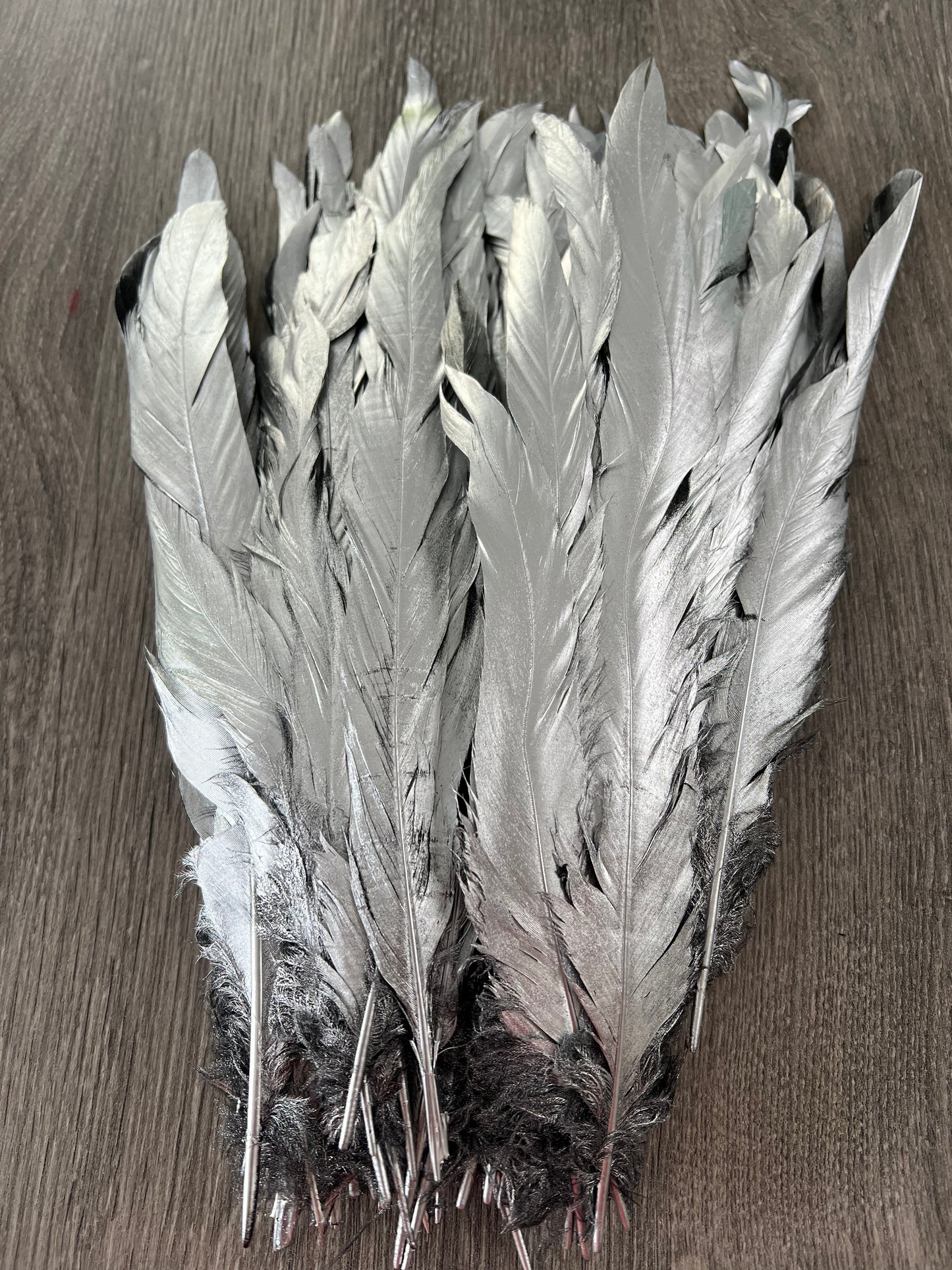 Iris Rooster Feathers V21