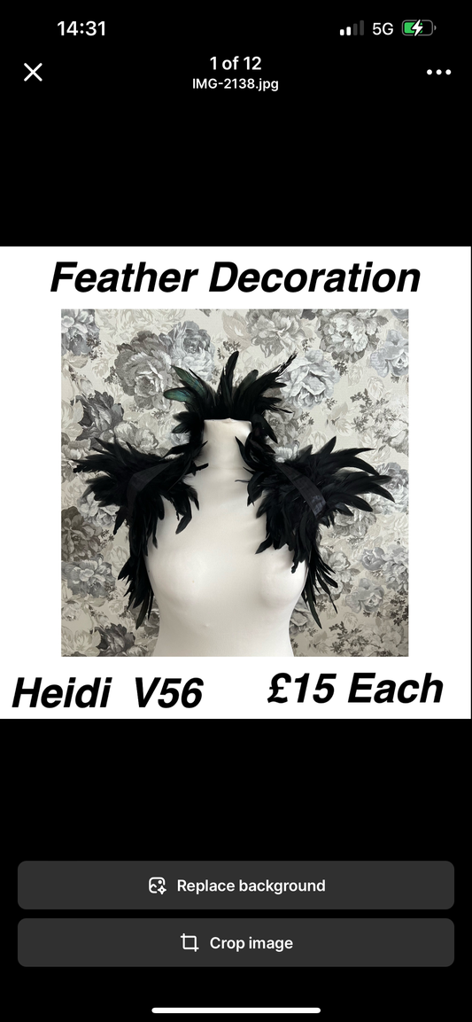 V59 Feather Costume Decoration with Ribbon Ties if needs to be removable.