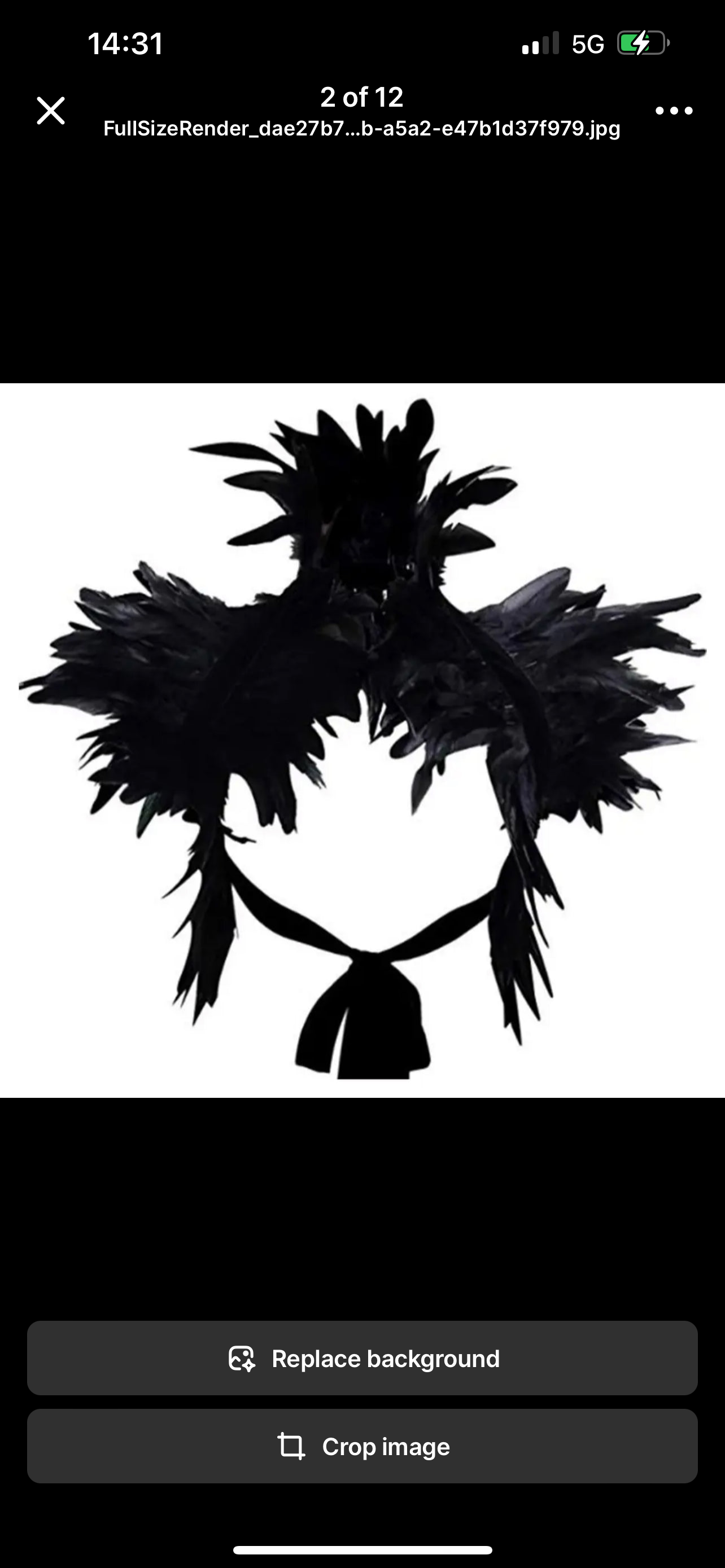 V59 Feather Costume Decoration with Ribbon Ties if needs to be removable.