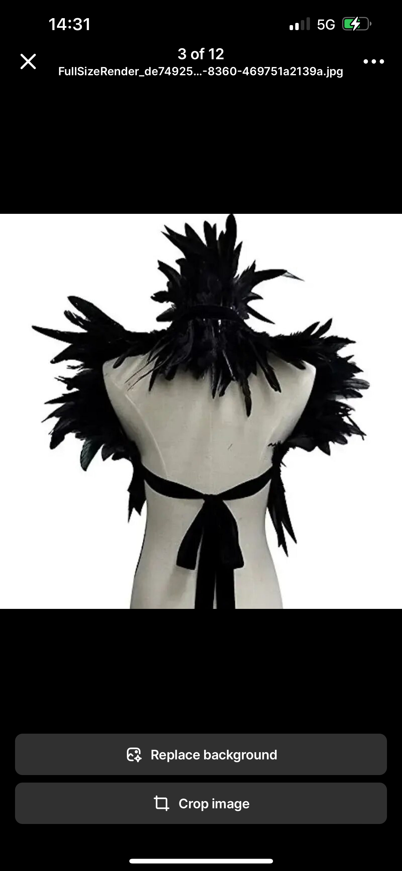 V59 Feather Costume Decoration with Ribbon Ties if needs to be removable.