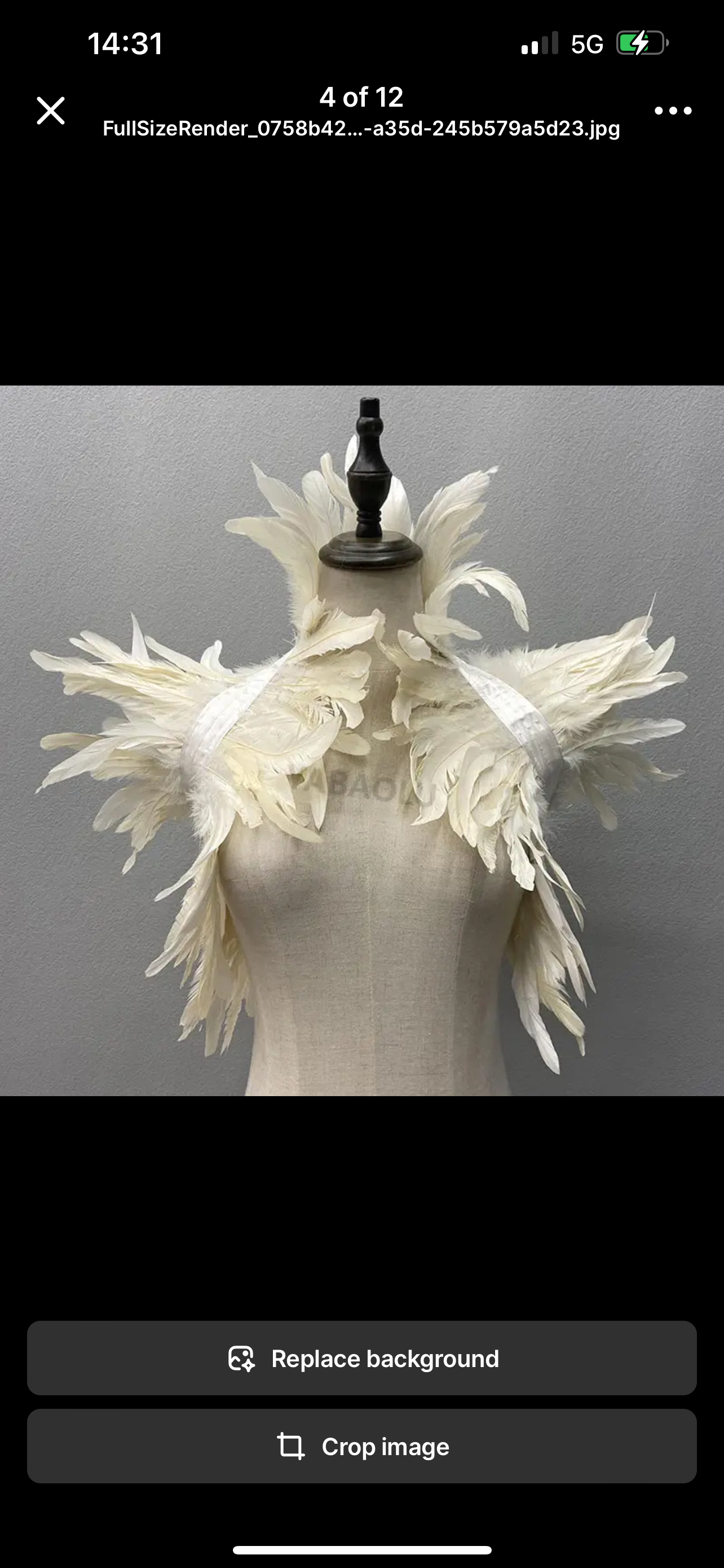 V59 Feather Costume Decoration with Ribbon Ties if needs to be removable.