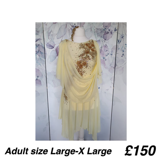 290 Light Yellow Lyrical Stage Dance Dress