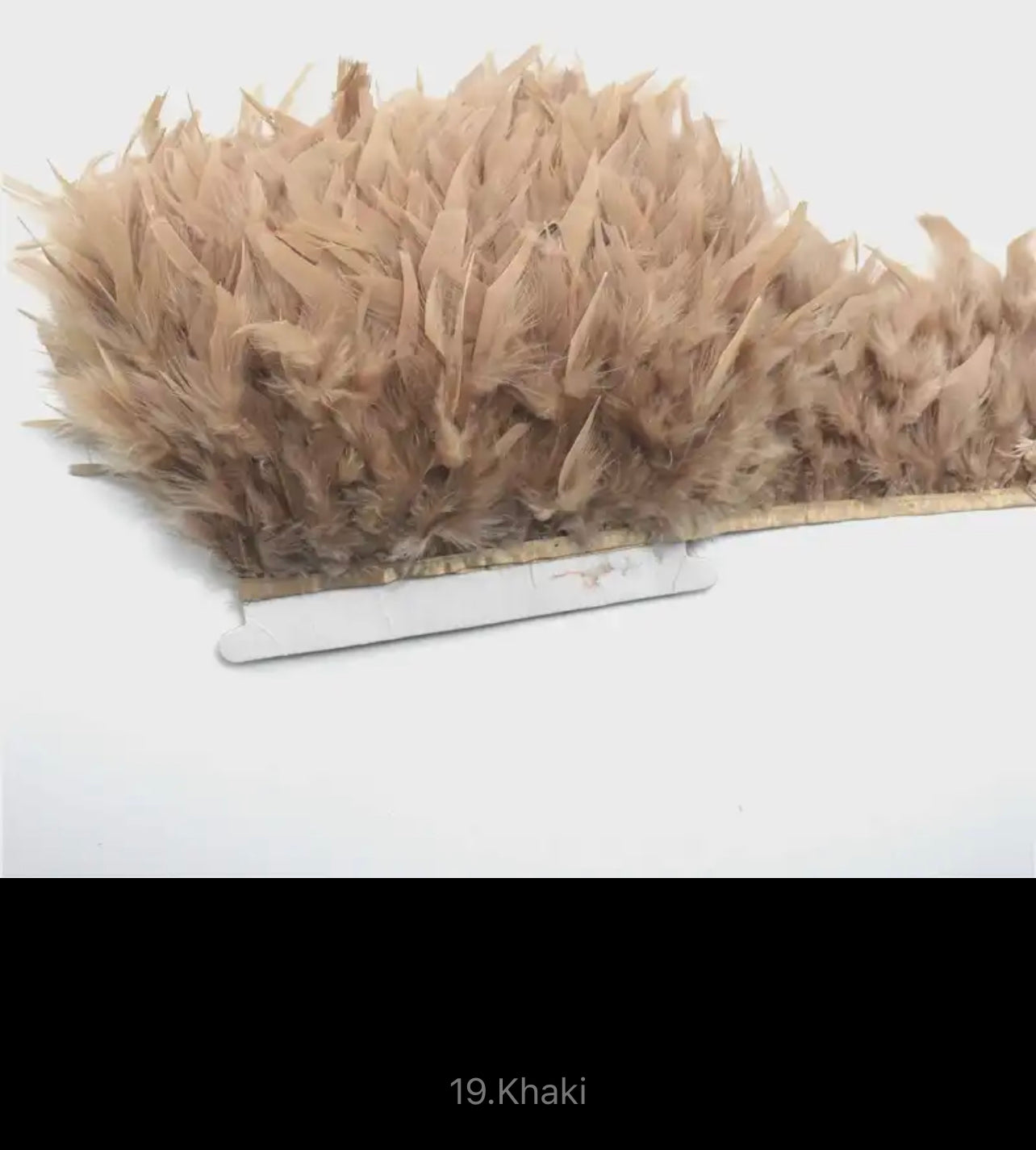 Rylee Turkey Feather Trim V18