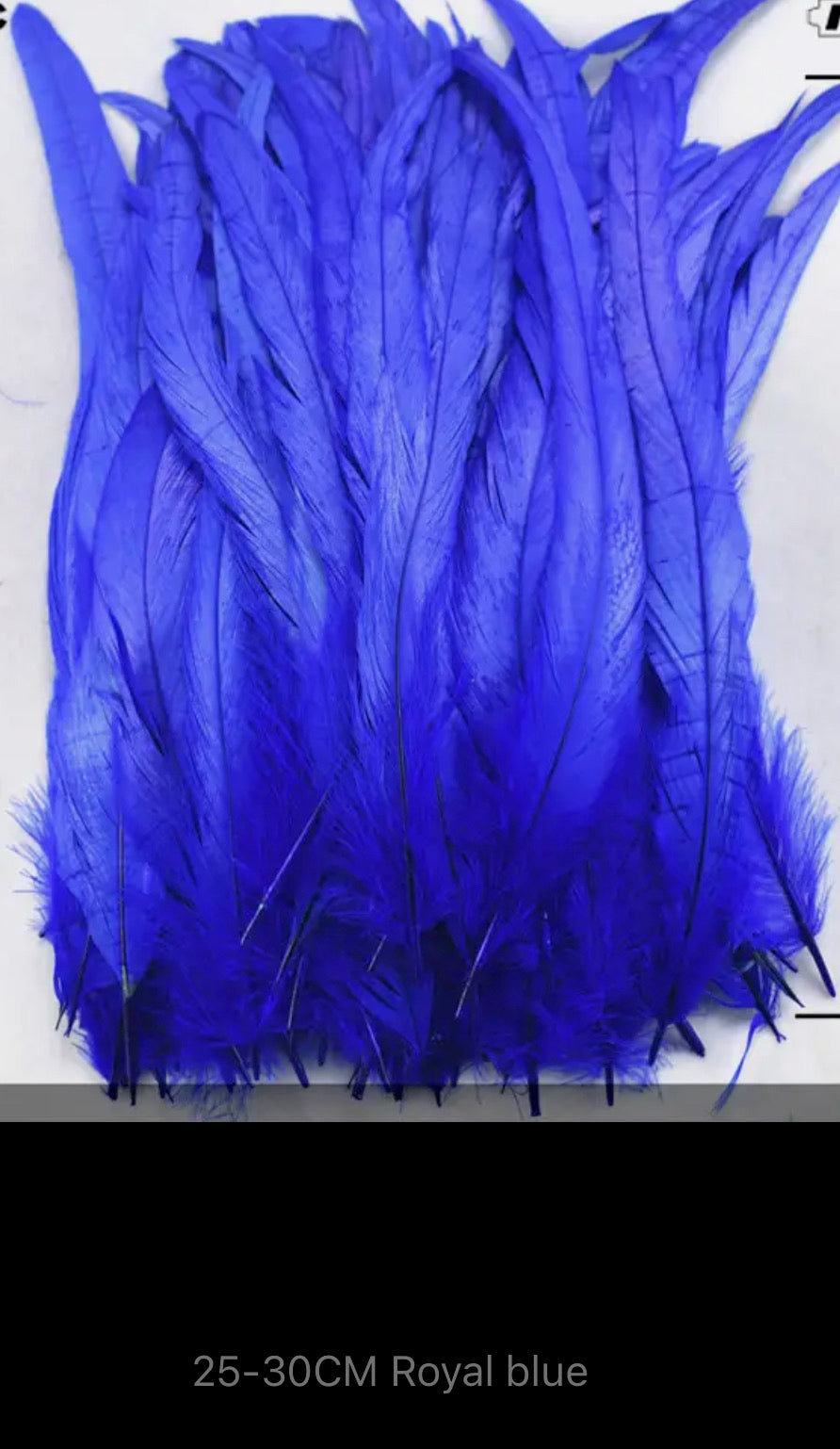 Iris Rooster Feathers V21