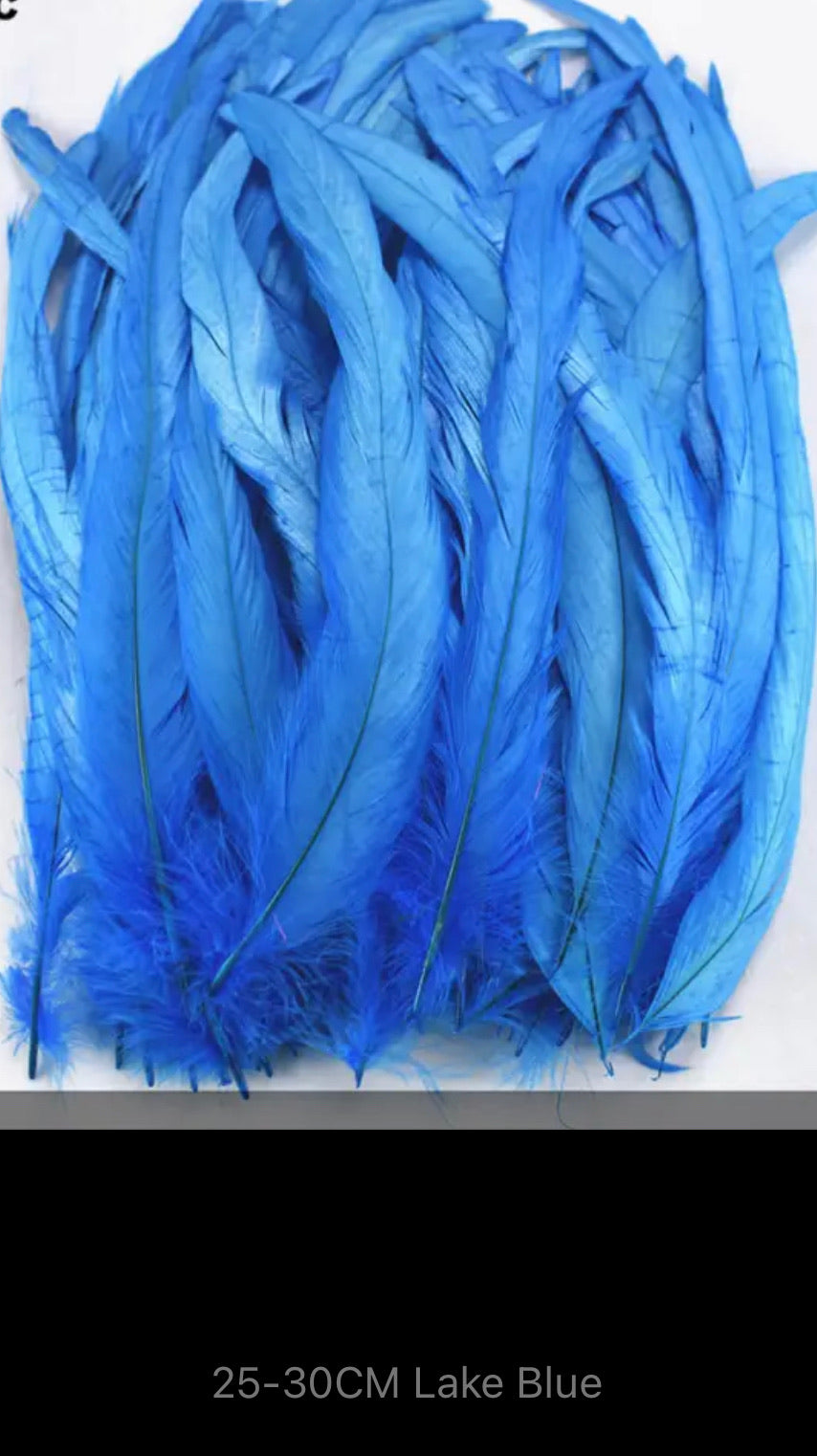 Iris Rooster Feathers V21