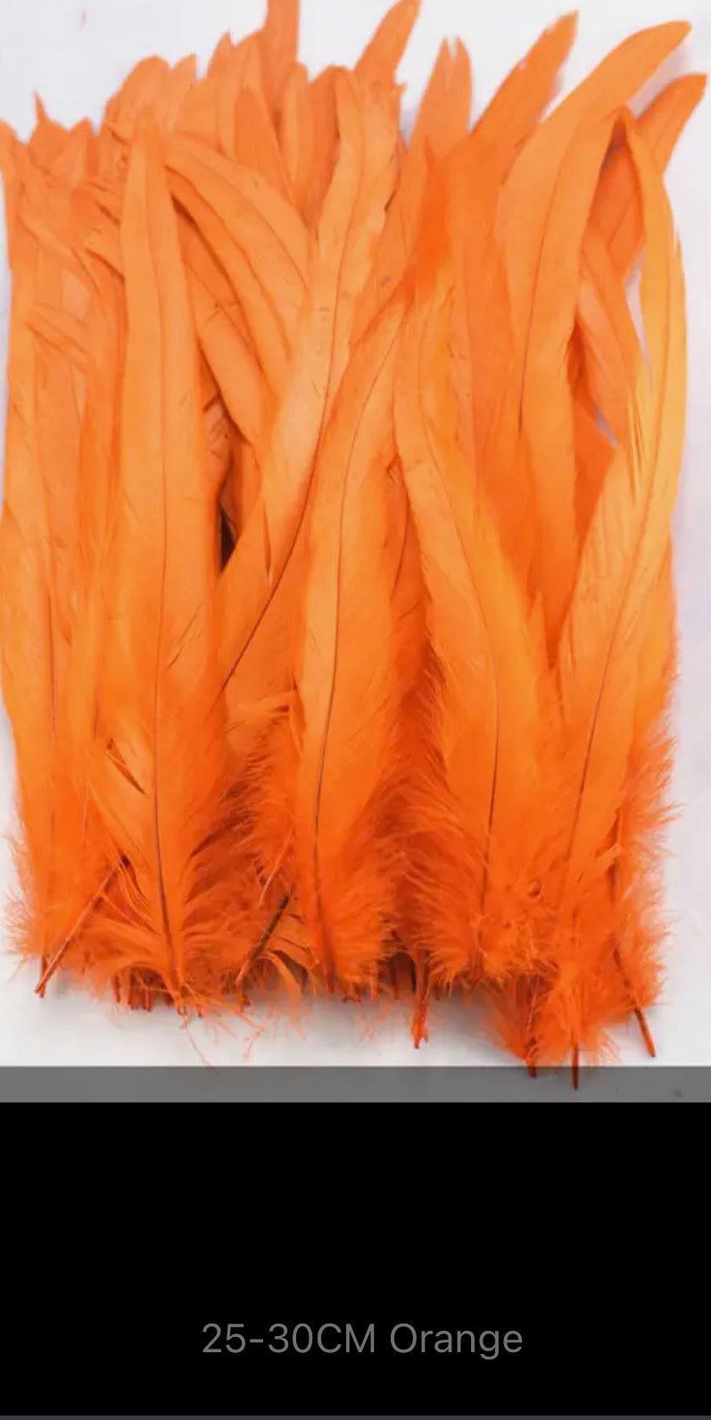 Iris Rooster Feathers V21