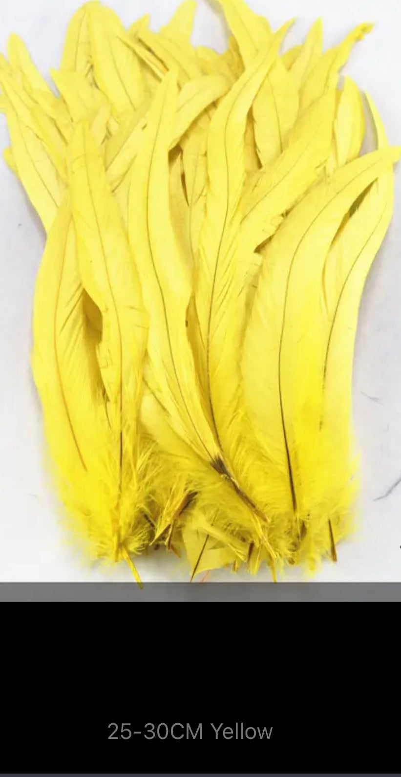 Iris Rooster Feathers V21