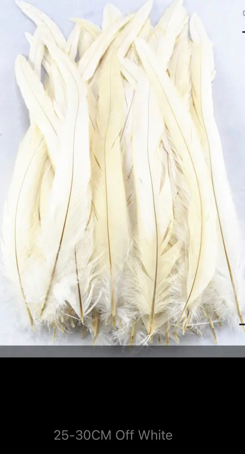 Iris Rooster Feathers V21
