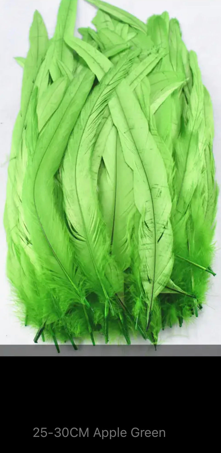 Iris Rooster Feathers V21