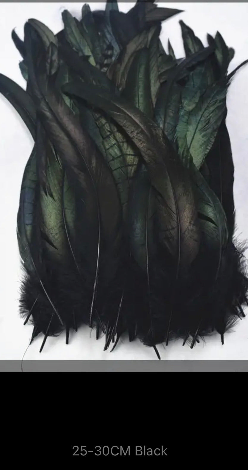 Iris Rooster Feathers V21