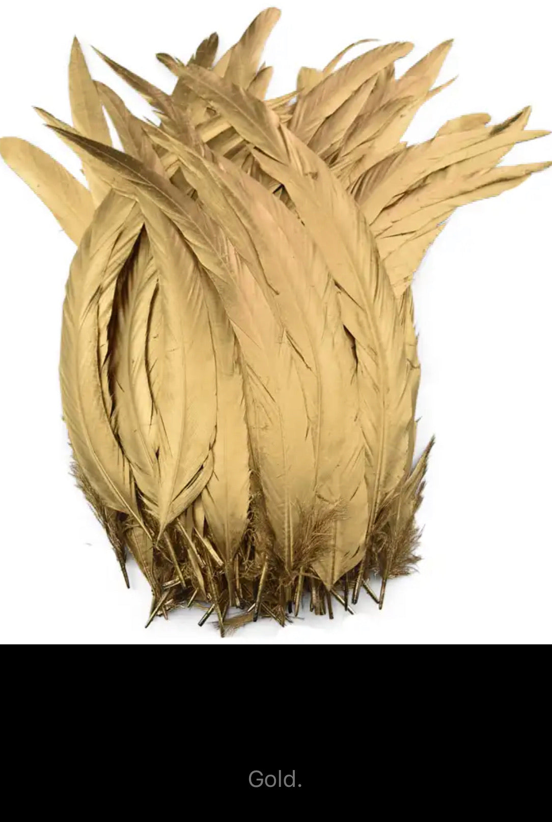 Iris Rooster Feathers V21