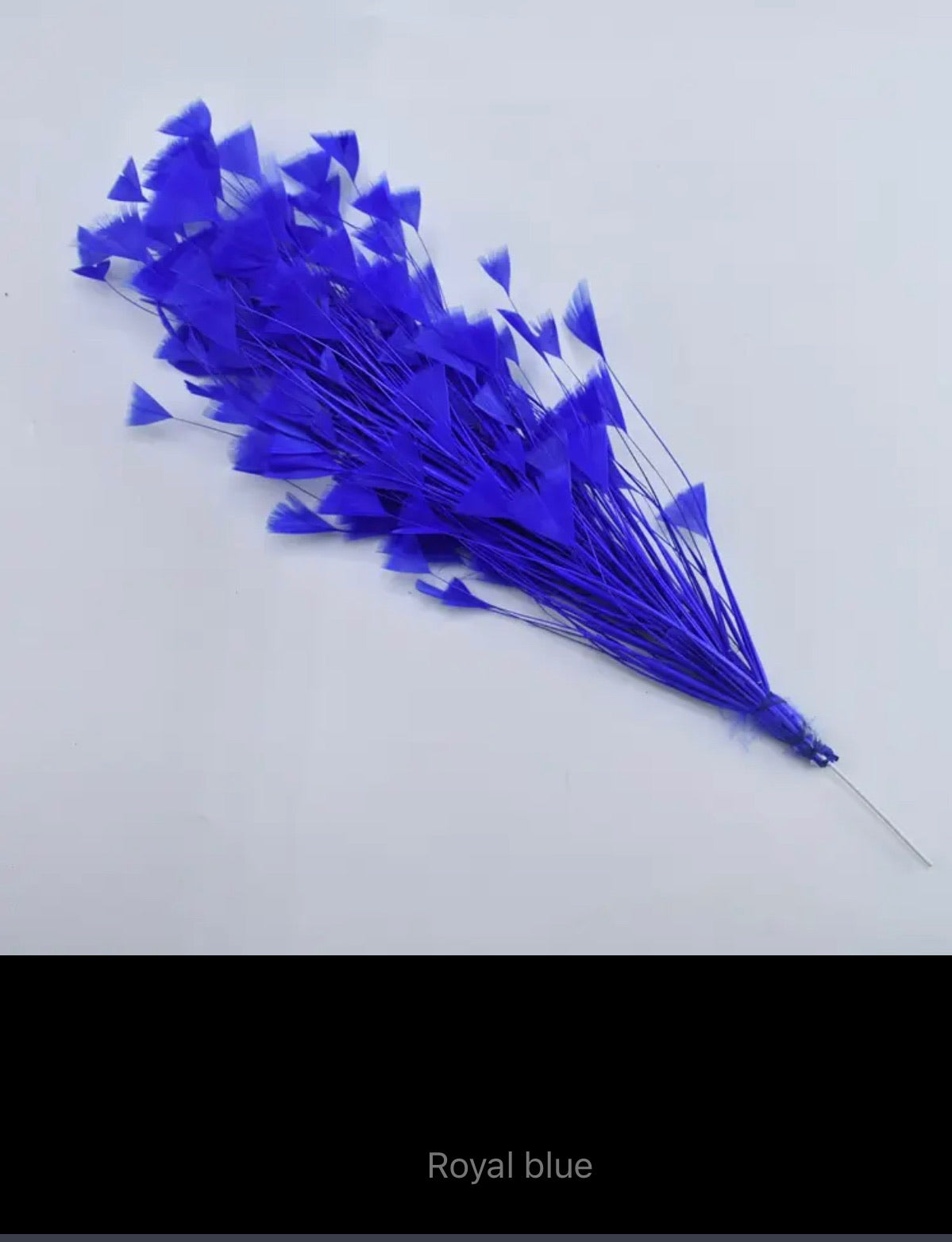 Clara Feather Trim V19