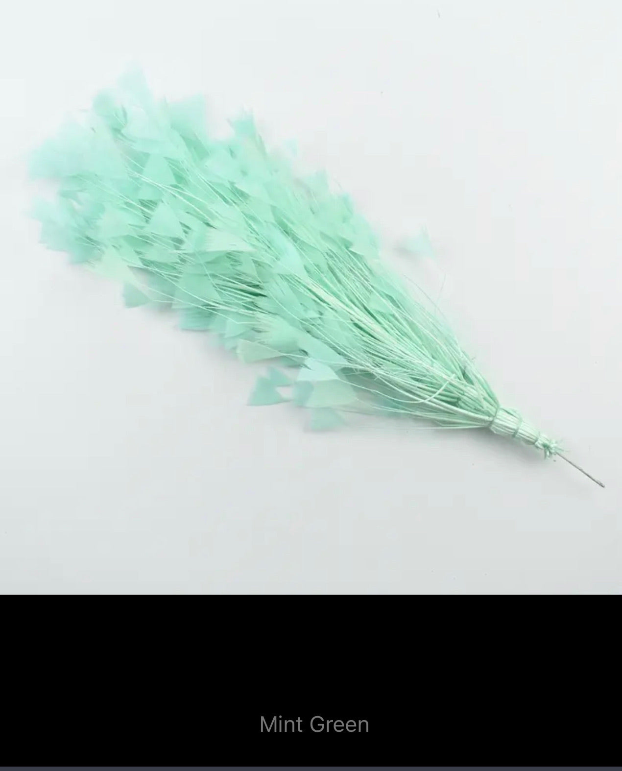 Clara Feather Trim V19