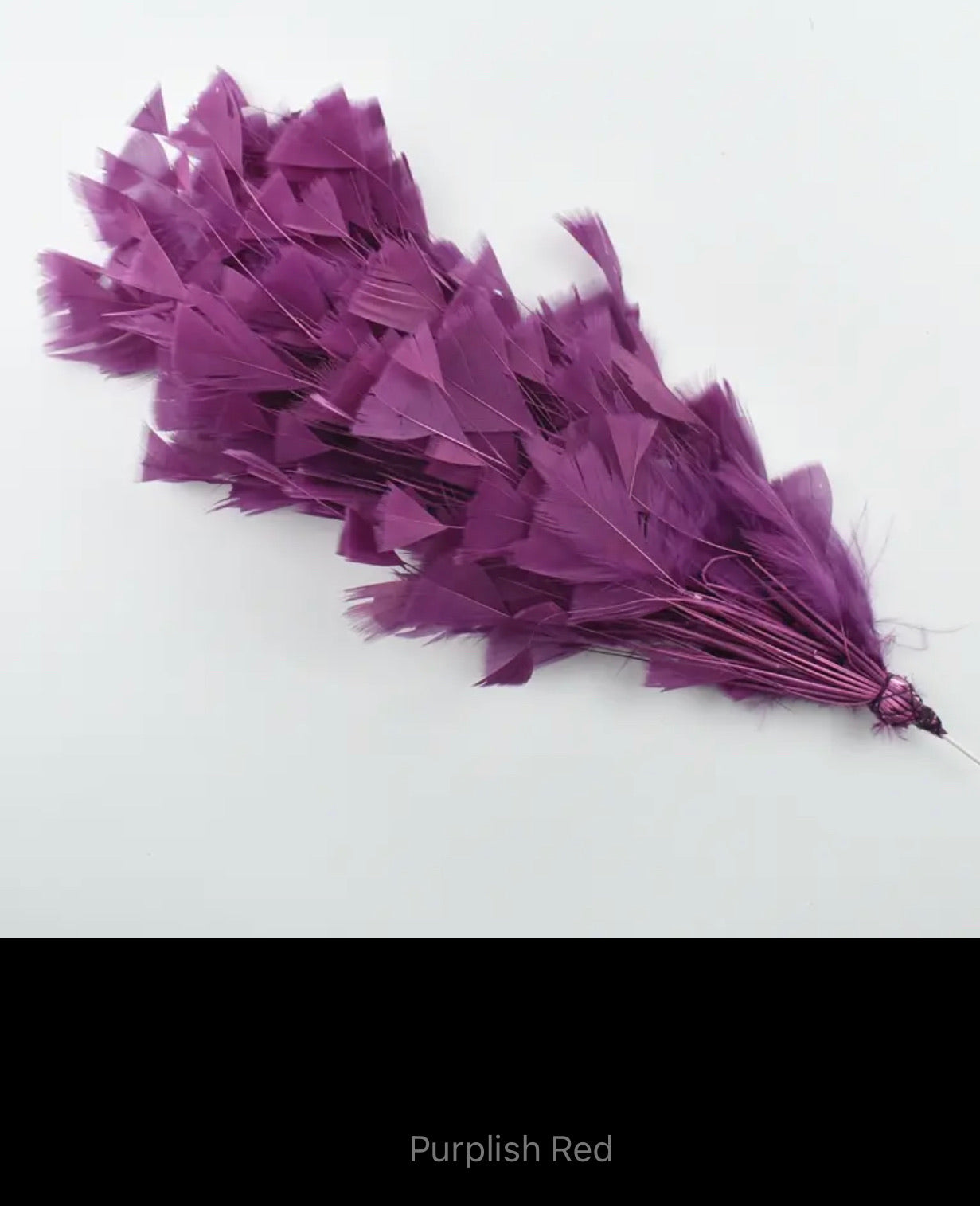 Clara Feather Trim V19