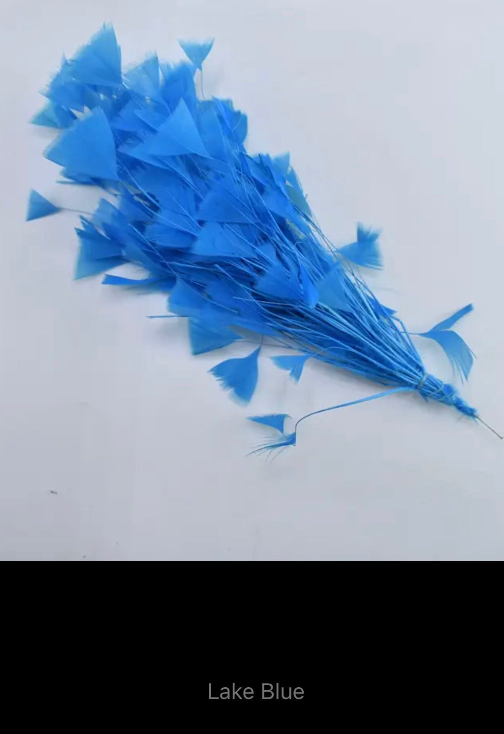 Clara Feather Trim V19