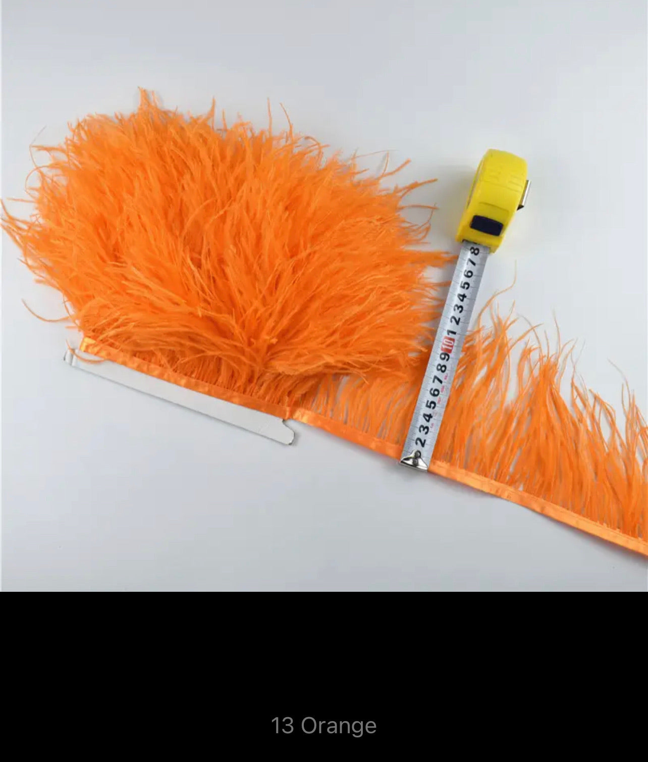 Eliza Ostrich Feather Trim V22