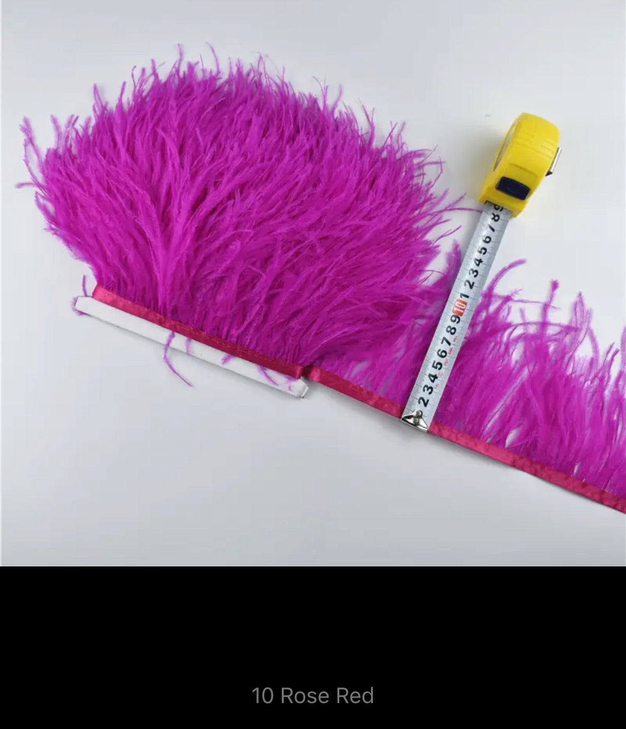 Eliza Ostrich Feather Trim V22