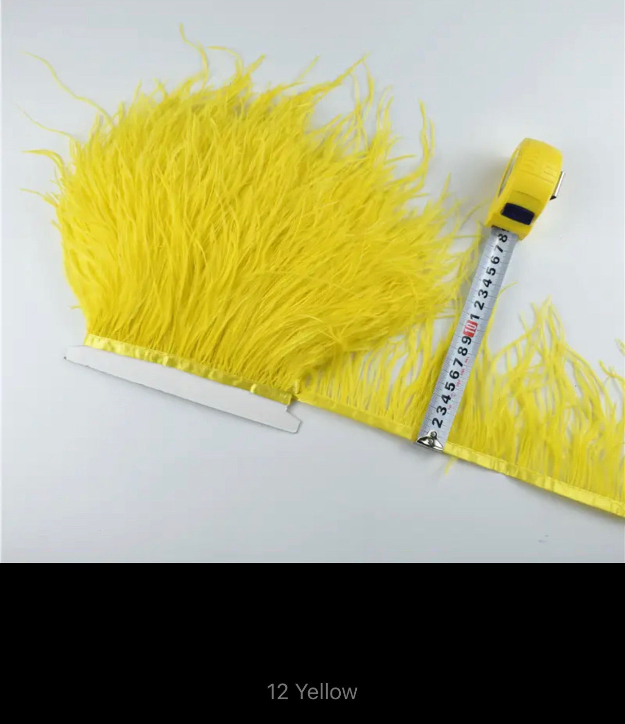 Eliza Ostrich Feather Trim V22