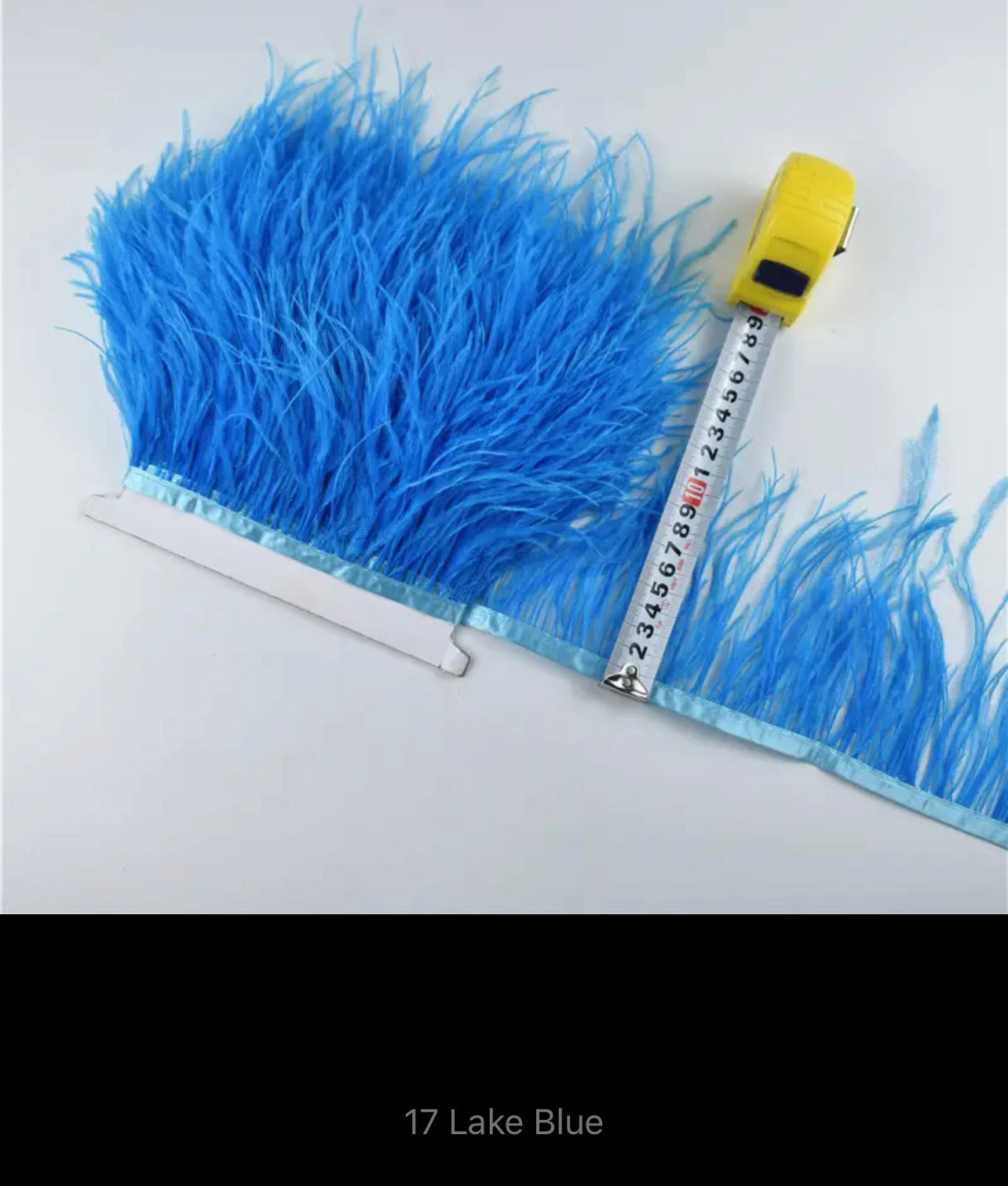 Eliza Ostrich Feather Trim V22