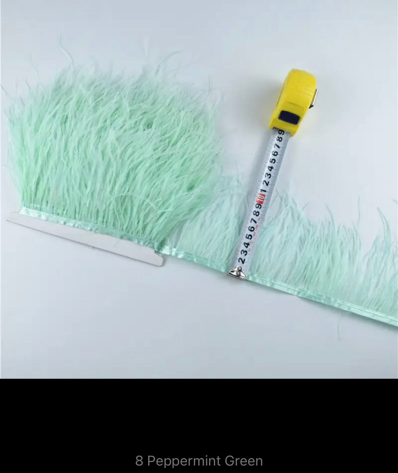 Eliza Ostrich Feather Trim V22