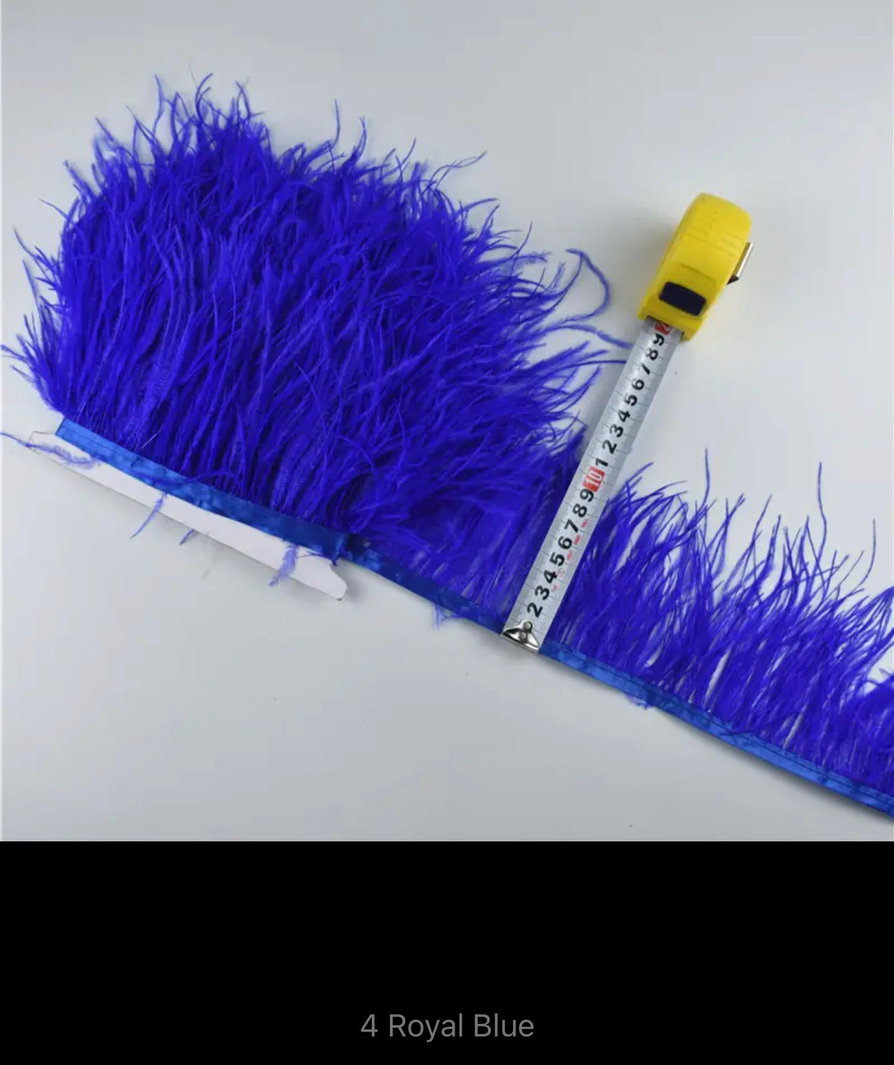 Eliza Ostrich Feather Trim V22