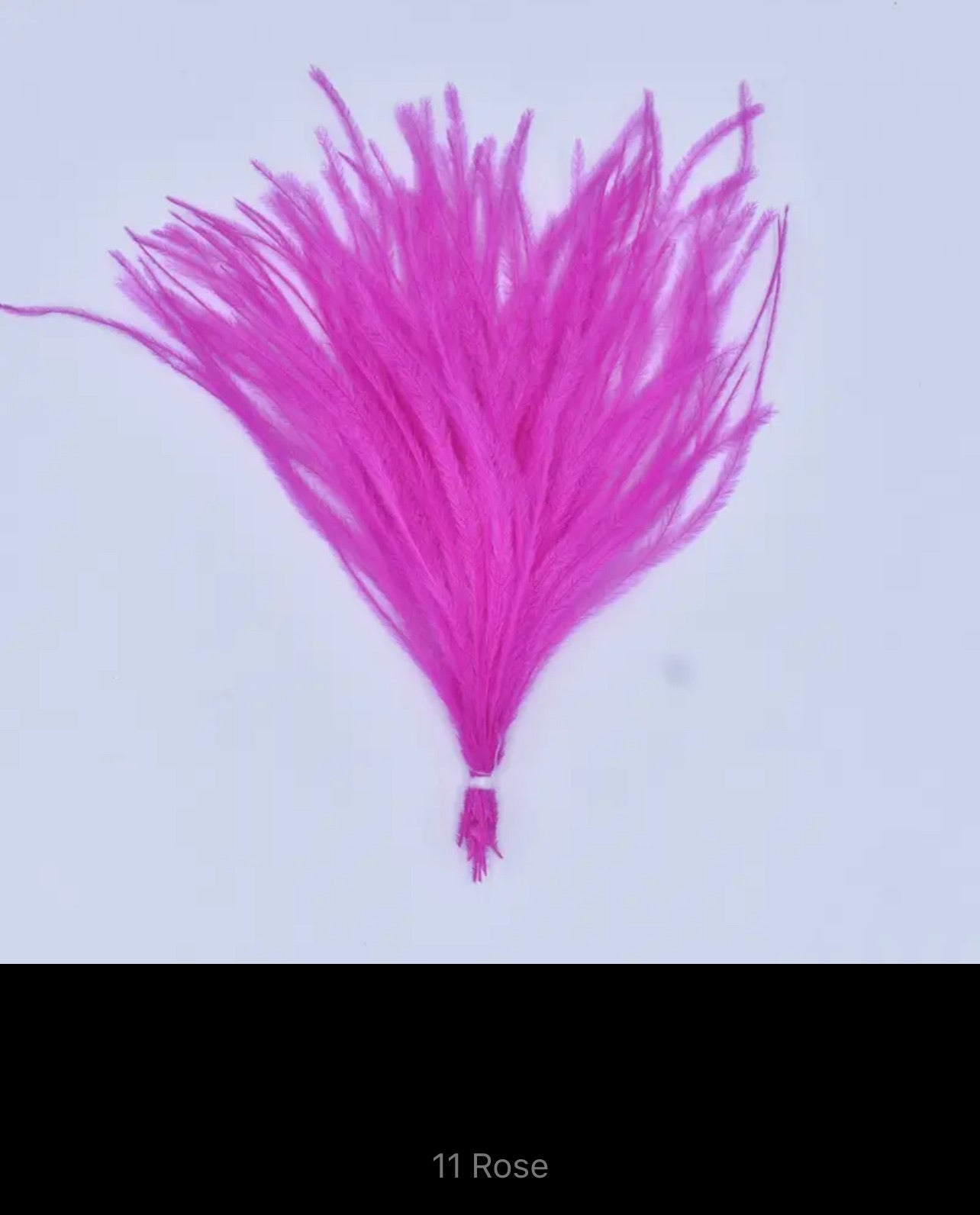 Remi Ostrich Feather Bunch V23