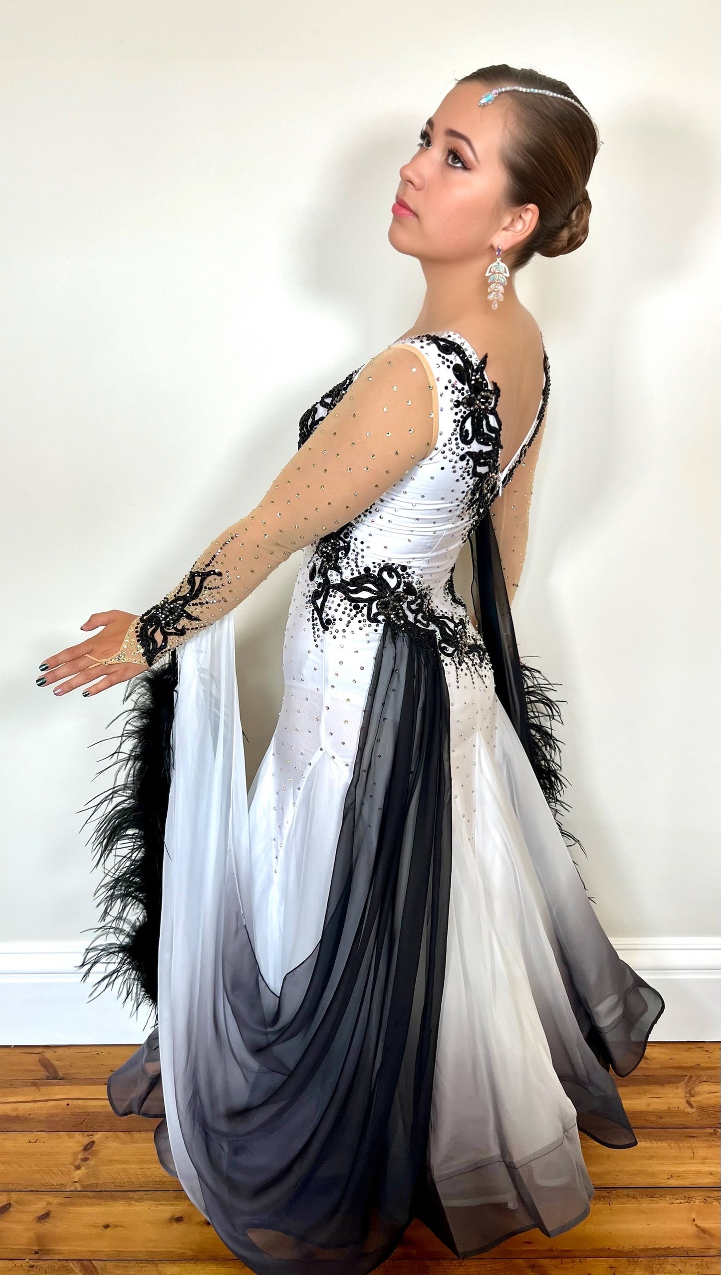 007 Black & White Ombré Ballroom Dress. Black ostrich feather float decoration with Ombré floats. Decorated with black appliqué & AB and jet stones.
