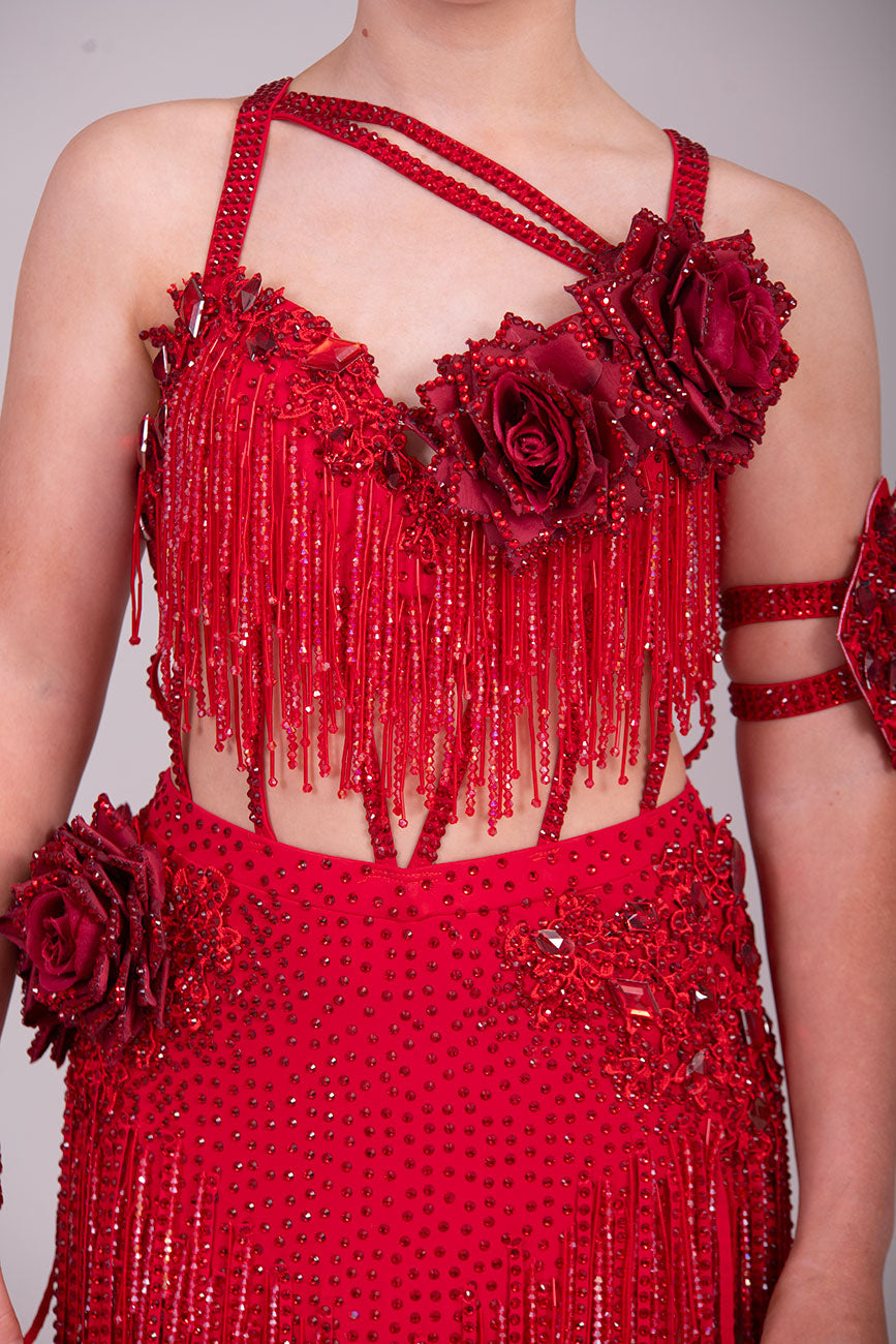 (BUDGET)13 Deep Red Competition Latin Dance Dress. Full of Red stoned fabric tassels & stoned motifs on the Bra style top. Heavily stoned flowers & strap detailing finish the top off. Skirt has flower to the Hip with stoned motifs and fabric strips over.