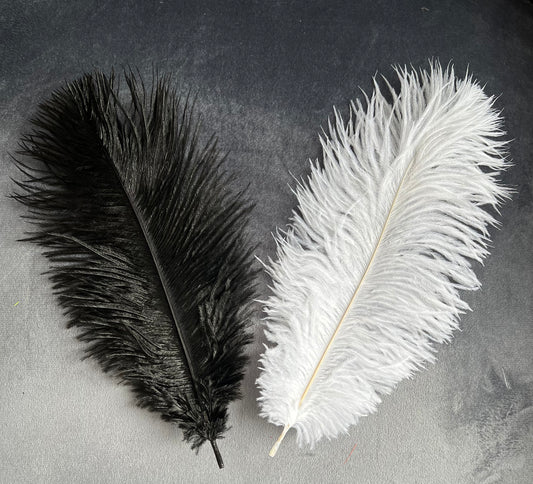 V57 Ostrich feather Plumes 10-12”