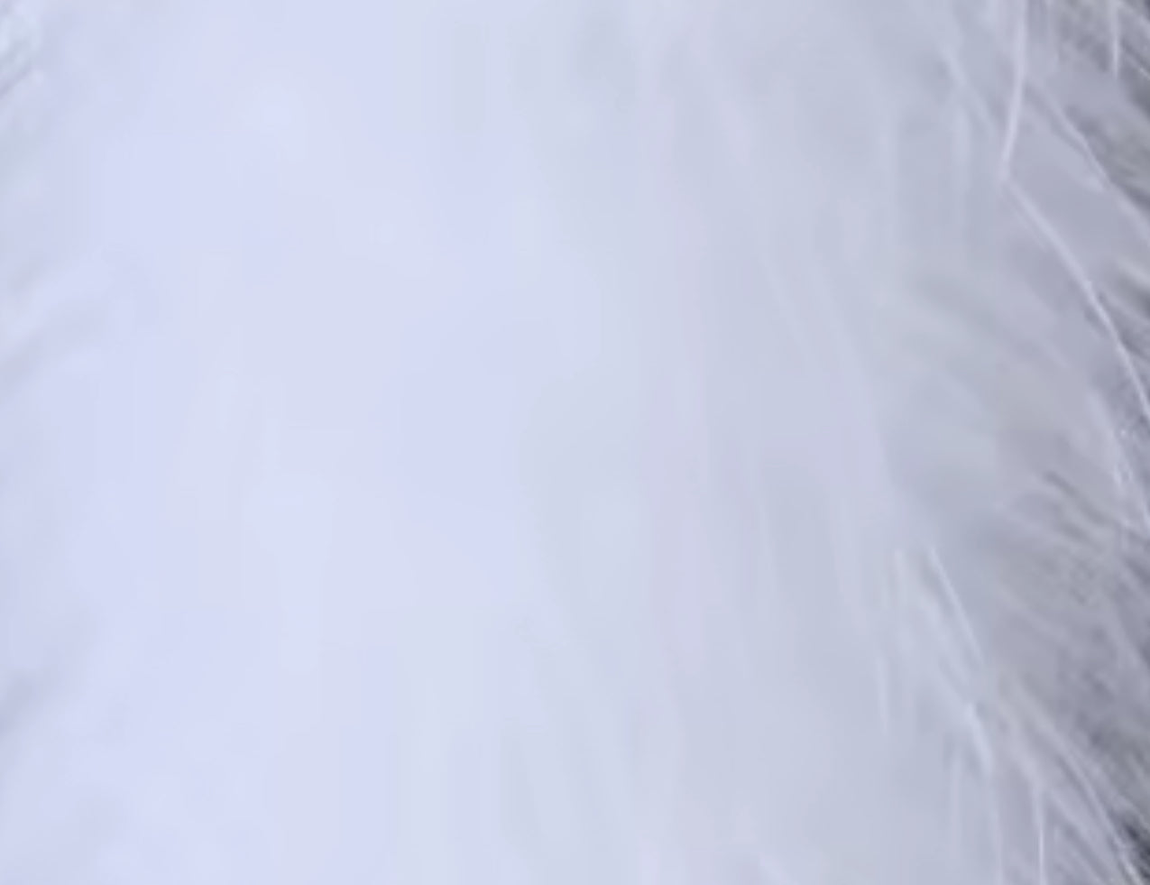 Parker Marabou Feather Boa V24