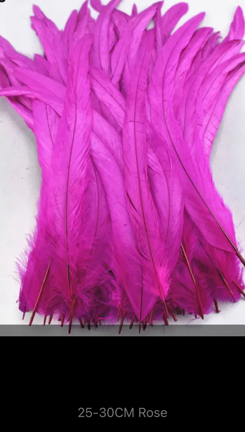 Iris Rooster Feathers V21