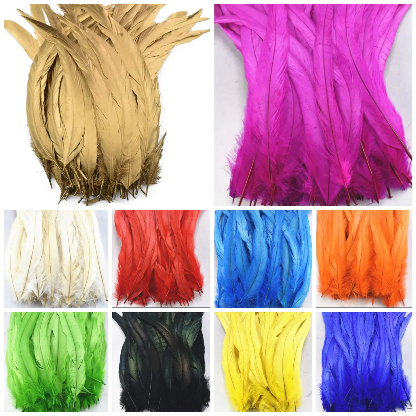 Iris Rooster Feathers V21